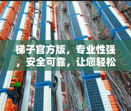 梯子官方版,专业性强,安全可靠,让您轻松提升空间! 梯子官方版,专业性强,安全可靠,让您轻松提升空间!