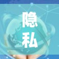 隐私VPN软件是一种通过虚拟网络连接外部互联网的工具，旨在保护用户隐私和信息安全。以下是对隐私VPN软件的详细分析