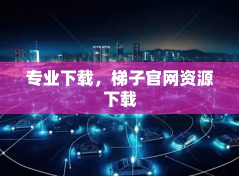 专业下载，梯子官网资源下载