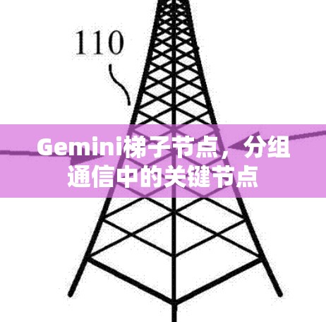 Gemini梯子节点,分组通信中的关键节点