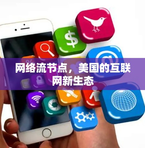 网络流节点，美国的互联网新生态