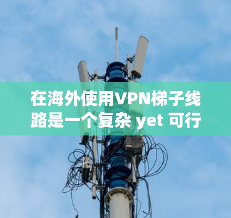 在海外使用VPN梯子线路是一个复杂 yet 可行的解决方案,以下是对该问题的详细分析和总结