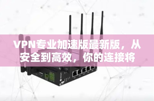 VPN专业加速版最新版，从安全到高效，你的连接将更可靠