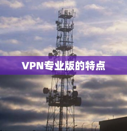 VPN专业版的特点 VPN专业版的特点