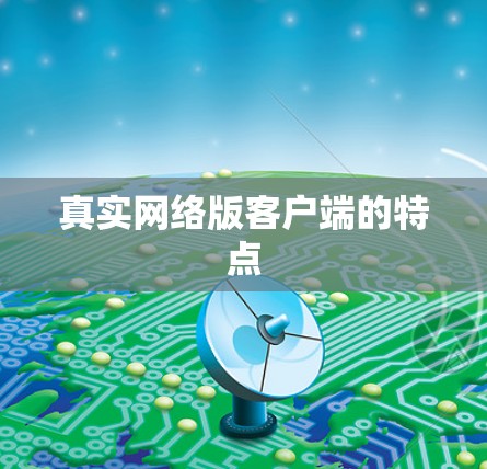 真实网络版客户端的特点 真实网络版客户端的特点