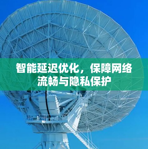 智能延迟优化,保障网络流畅与隐私保护 智能延迟优化,保障网络流畅与隐私保护