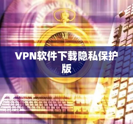 VPN软件下载隐私保护版