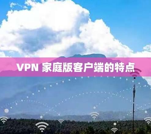 VPN 家庭版客户端的特点