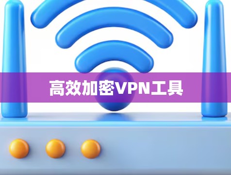 高效加密VPN工具