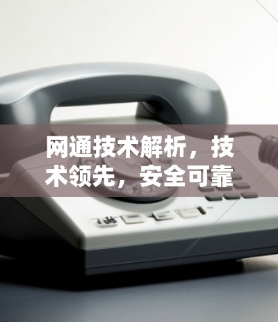 网通技术解析，技术领先，安全可靠