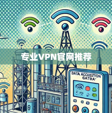 专业VPN官网推荐