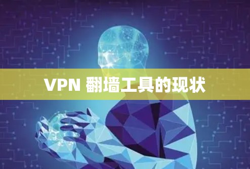 VPN 翻墙工具的现状