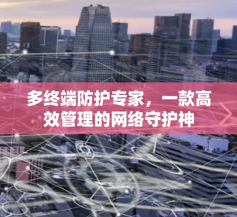 多终端防护专家,一款高效管理的网络守护神 多终端防护专家,一款高效管理的网络守护神