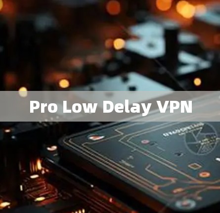 Pro Low Delay VPN