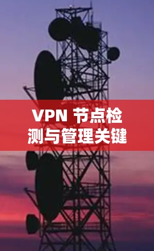VPN 节点检测与管理关键技术 VPN 节点检测与管理关键技术