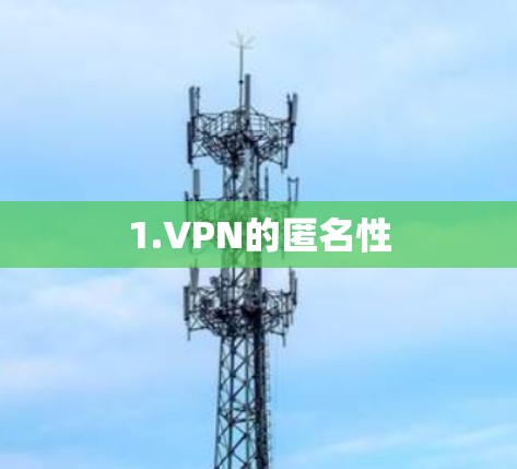 1.VPN的匿名性 1.VPN的匿名性
