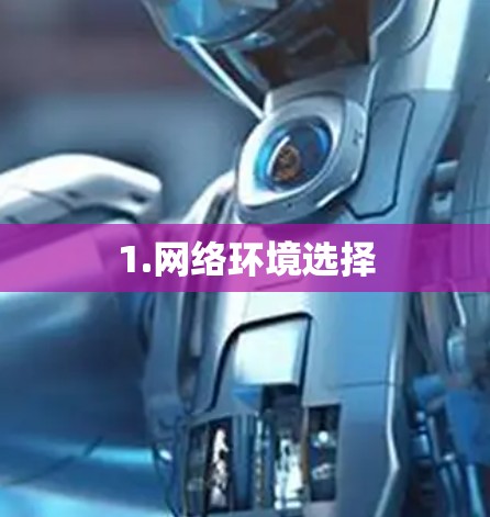 1.网络环境选择