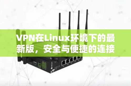 VPN在Linux环境下的最新版,安全与便捷的连接方式