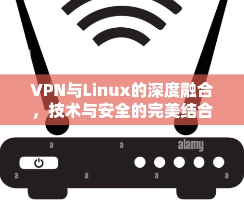 VPN与Linux的深度融合，技术与安全的完美结合